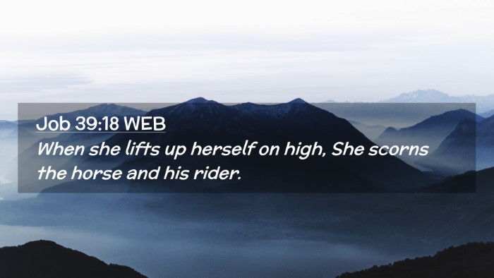 Picture 02 - Job 39:18 WEB Desktop Wallpaper - When she lifts up herself on high, She scorns the - Desktop Bible Verse Wallpaper