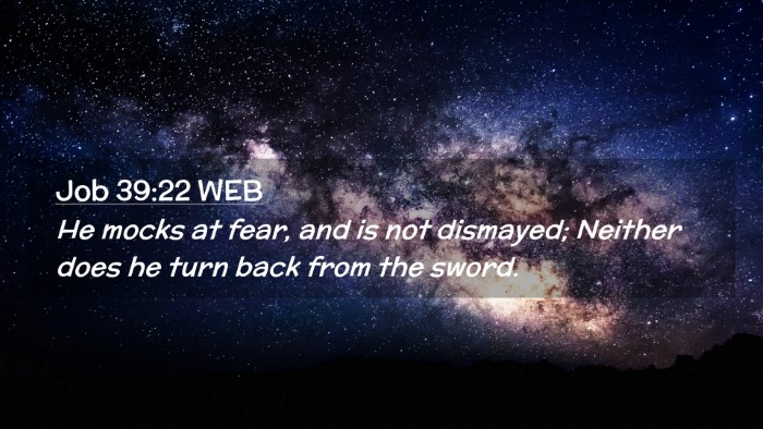 Picture 02 - Job 39:22 WEB Desktop Wallpaper - He mocks at fear, and is not dismayed; Neither - Desktop Bible Verse Wallpaper