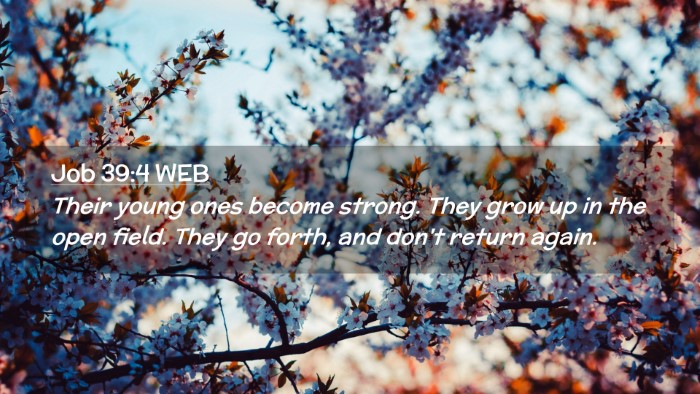 Picture 02 - Job 39:4 WEB Desktop Wallpaper - Their young ones become strong. They grow up in - Desktop Bible Verse Wallpaper