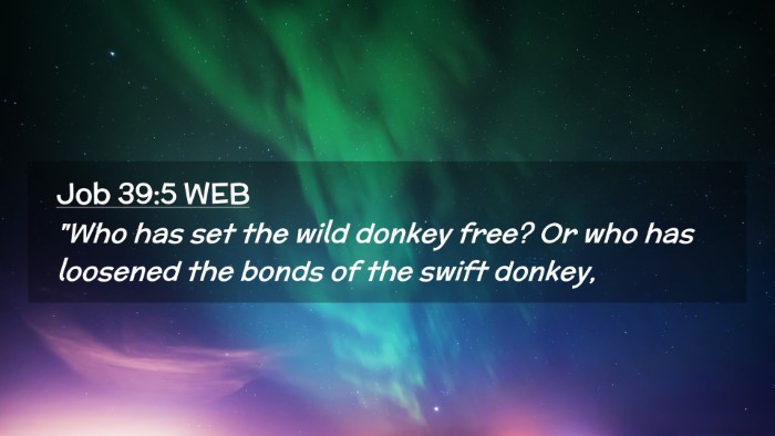 Picture 02 - Job 39:5 WEB Desktop Wallpaper - 