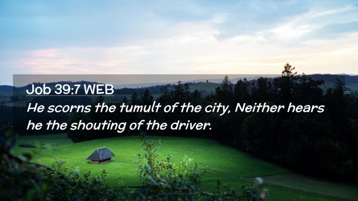 Picture 02 - Job 39:7 WEB Desktop Wallpaper - He scorns the tumult of the city, Neither hears - Desktop Bible Verse Wallpaper