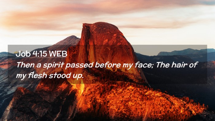 Picture 02 - Job 4:15 WEB Desktop Wallpaper - Then a spirit passed before my face; The hair of - Desktop Bible Verse Wallpaper