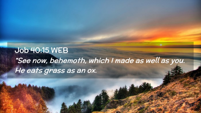 Picture 02 - Job 40:15 WEB Desktop Wallpaper - 