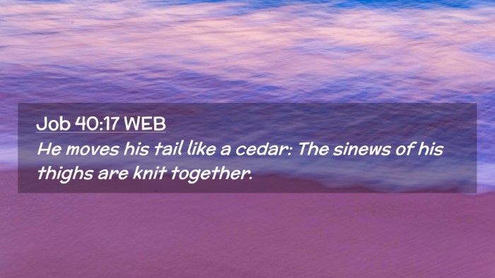 Picture 02 - Job 40:17 WEB Desktop Wallpaper - He moves his tail like a cedar: The sinews of his - Desktop Bible Verse Wallpaper