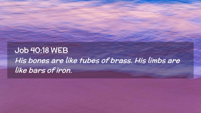 Picture 02 - Job 40:18 WEB Desktop Wallpaper - His bones are like tubes of brass. His limbs are - Desktop Bible Verse Wallpaper