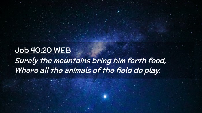 Picture 02 - Job 40:20 WEB Desktop Wallpaper - Surely the mountains bring him forth food, Where - Desktop Bible Verse Wallpaper