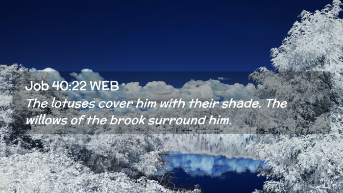 Picture 02 - Job 40:22 WEB Desktop Wallpaper - The lotuses cover him with their shade. The - Desktop Bible Verse Wallpaper