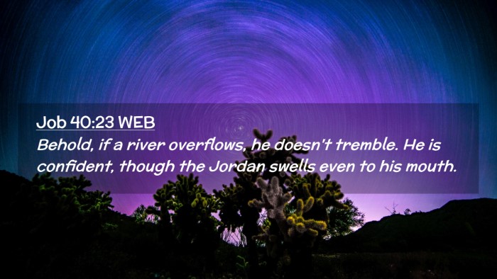Picture 02 - Job 40:23 WEB Desktop Wallpaper - Behold, if a river overflows, he doesn't tremble. - Desktop Bible Verse Wallpaper