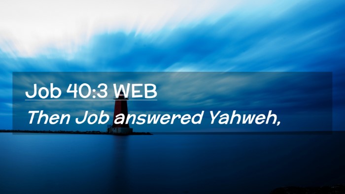 Picture 02 - Job 40:3 WEB Desktop Wallpaper - Then Job answered - Desktop Bible Verse Wallpaper
