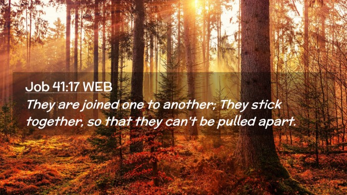 Picture 02 - Job 41:17 WEB Desktop Wallpaper - They are joined one to another; They stick - Desktop Bible Verse Wallpaper
