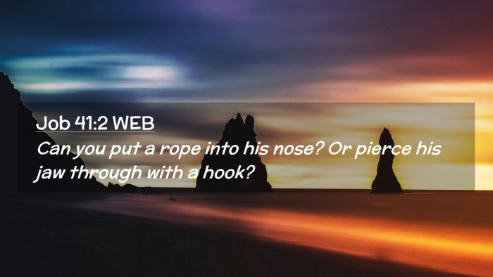 Picture 02 - Job 41:2 WEB Desktop Wallpaper - Can you put a rope into his nose? Or pierce his - Desktop Bible Verse Wallpaper