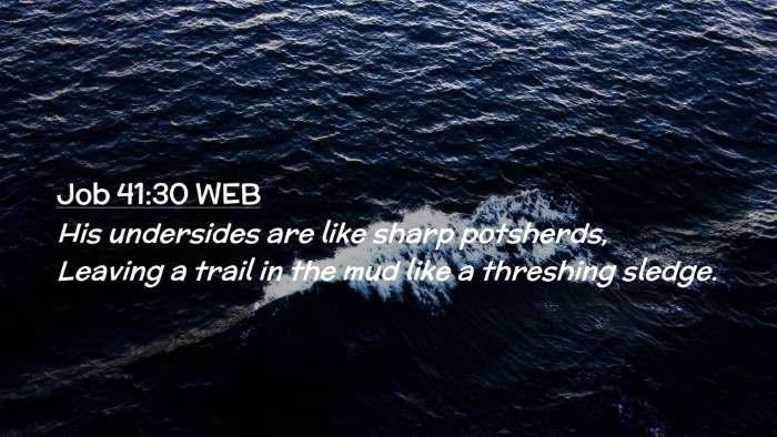 Picture 02 - Job 41:30 WEB Desktop Wallpaper - His undersides are like sharp potsherds, Leaving - Desktop Bible Verse Wallpaper
