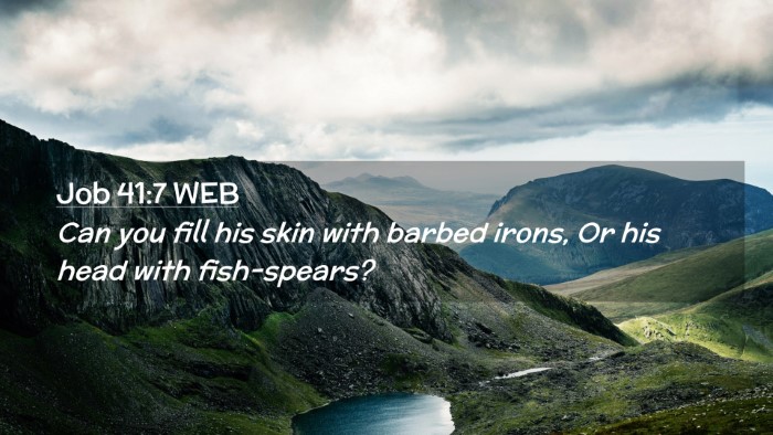 Picture 02 - Job 41:7 WEB Desktop Wallpaper - Can you fill his skin with barbed irons, Or his - Desktop Bible Verse Wallpaper