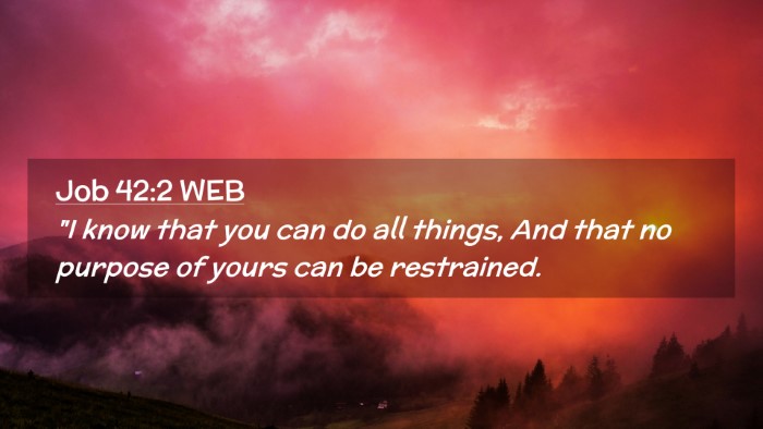 Picture 02 - Job 42:2 WEB Desktop Wallpaper - 