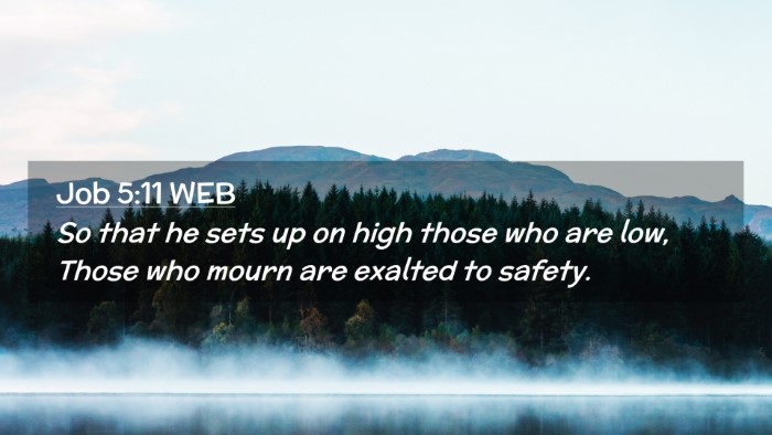 Picture 02 - Job 5:11 WEB Desktop Wallpaper - So that he sets up on high those who are low, - Desktop Bible Verse Wallpaper