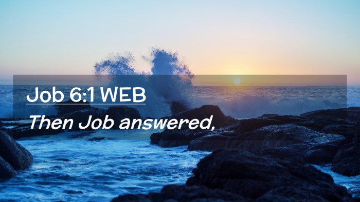 Picture 02 - Job 6:1 WEB Desktop Wallpaper - Then Job - Desktop Bible Verse Wallpaper