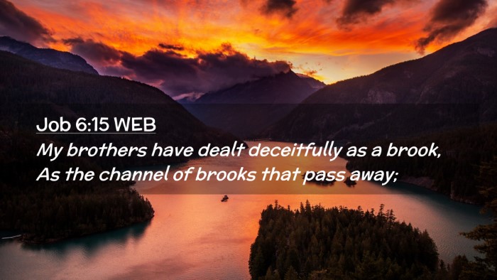 Picture 02 - Job 6:15 WEB Desktop Wallpaper - My brothers have dealt deceitfully as a brook, As - Desktop Bible Verse Wallpaper