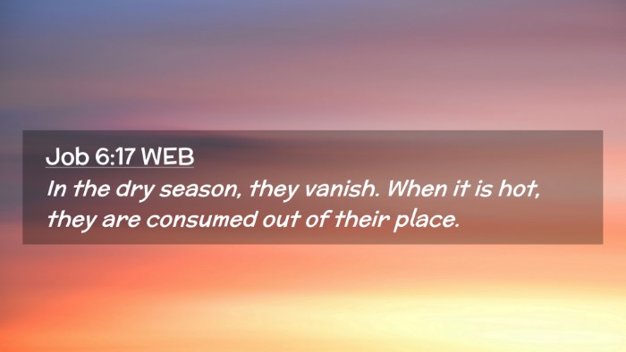 Picture 02 - Job 6:17 WEB Desktop Wallpaper - In the dry season, they vanish. When it is hot, - Desktop Bible Verse Wallpaper