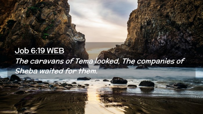 Picture 02 - Job 6:19 WEB Desktop Wallpaper - The caravans of Tema looked, The companies of - Desktop Bible Verse Wallpaper