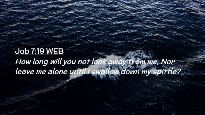Picture 02 - Job 7:19 WEB Desktop Wallpaper - How long will you not look away from me, Nor - Desktop Bible Verse Wallpaper