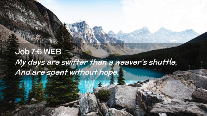 Picture 02 - Job 7:6 WEB Desktop Wallpaper - My days are swifter than a weaver's shuttle, And - Desktop Bible Verse Wallpaper