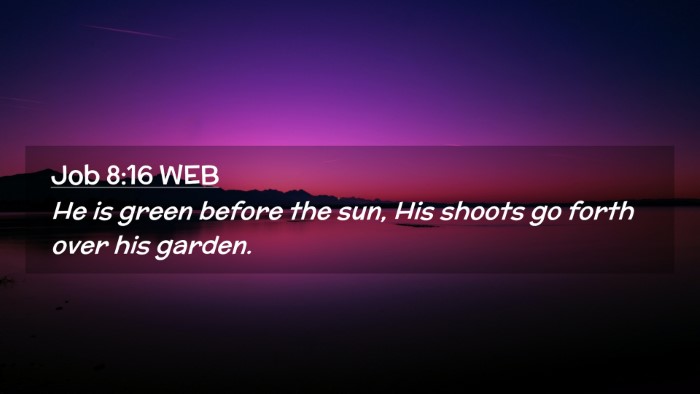 Picture 02 - Job 8:16 WEB Desktop Wallpaper - He is green before the sun, His shoots go forth - Desktop Bible Verse Wallpaper
