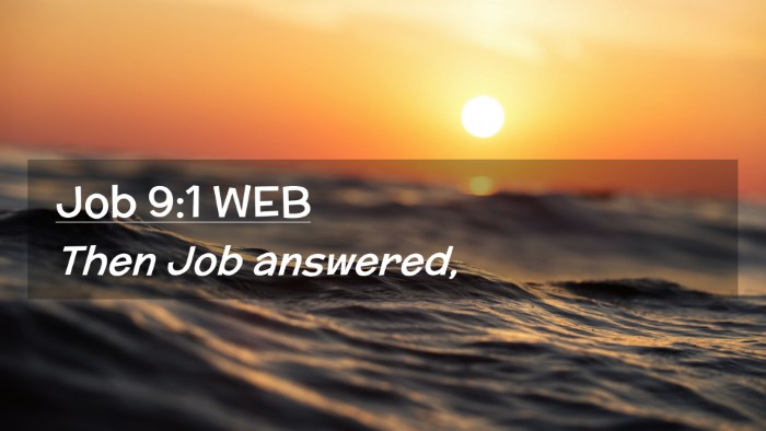 Picture 02 - Job 9:1 WEB Desktop Wallpaper - Then Job - Desktop Bible Verse Wallpaper