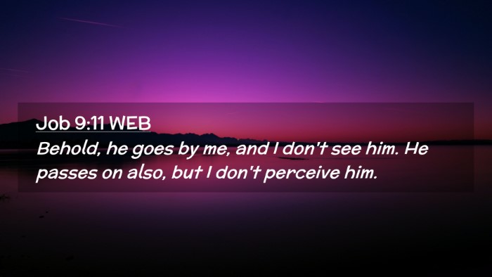 Picture 02 - Job 9:11 WEB Desktop Wallpaper - Behold, he goes by me, and I don't see him. He - Desktop Bible Verse Wallpaper