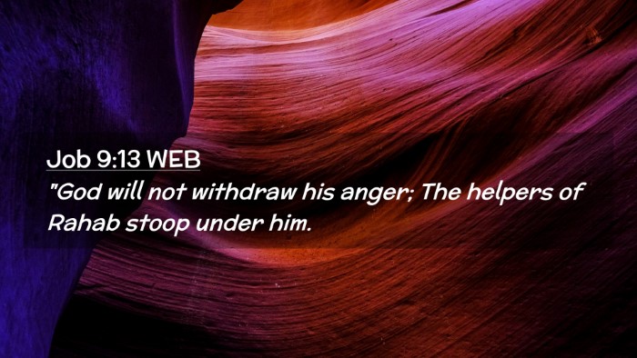 Picture 02 - Job 9:13 WEB Desktop Wallpaper - 