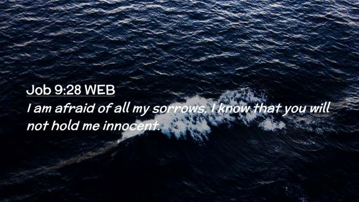 Picture 02 - Job 9:28 WEB Desktop Wallpaper - I am afraid of all my sorrows, I know that you - Desktop Bible Verse Wallpaper