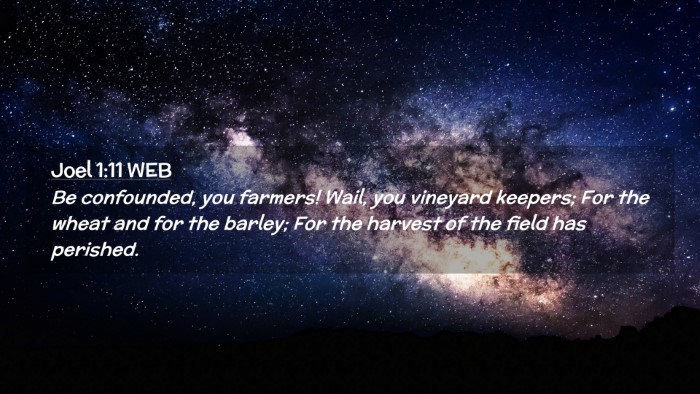 Picture 02 - Joel 1:11 WEB Desktop Wallpaper - Be confounded, you farmers! Wail, you vineyard - Desktop Bible Verse Wallpaper