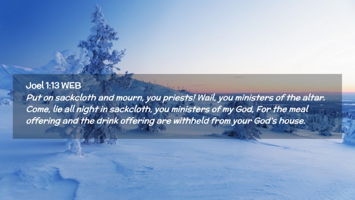 Picture 02 - Joel 1:13 WEB Desktop Wallpaper - Put on sackcloth and mourn, you priests! Wail, - Desktop Bible Verse Wallpaper