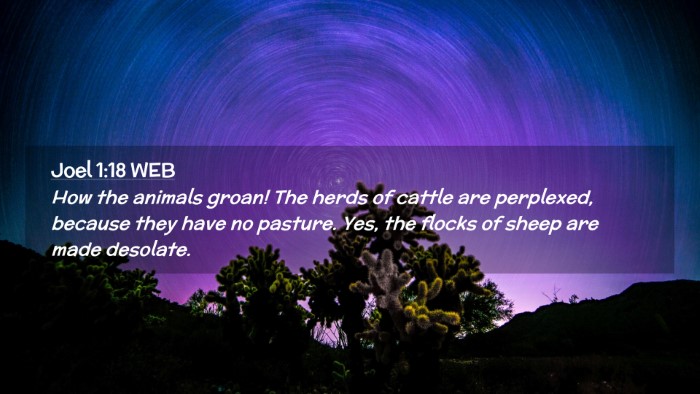 Picture 02 - Joel 1:18 WEB Desktop Wallpaper - How the animals groan! The herds of cattle are - Desktop Bible Verse Wallpaper