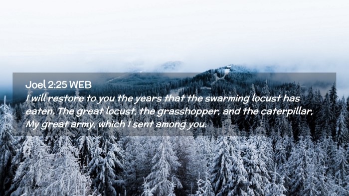 Picture 02 - Joel 2:25 WEB Desktop Wallpaper - I will restore to you the years that the swarming - Desktop Bible Verse Wallpaper