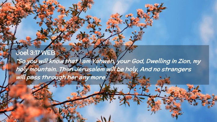 Picture 02 - Joel 3:17 WEB Desktop Wallpaper - 