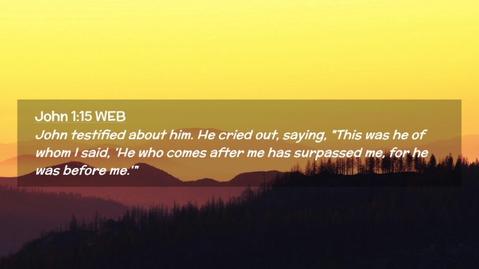 Picture 02 - John 1:15 WEB Desktop Wallpaper - John testified about him. He cried out, saying, - Desktop Bible Verse Wallpaper