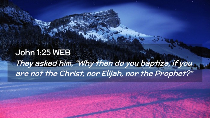 Picture 02 - John 1:25 WEB Desktop Wallpaper - They asked him, 