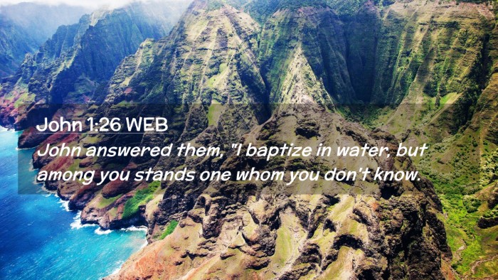 Picture 02 - John 1:26 WEB Desktop Wallpaper - John answered them, 