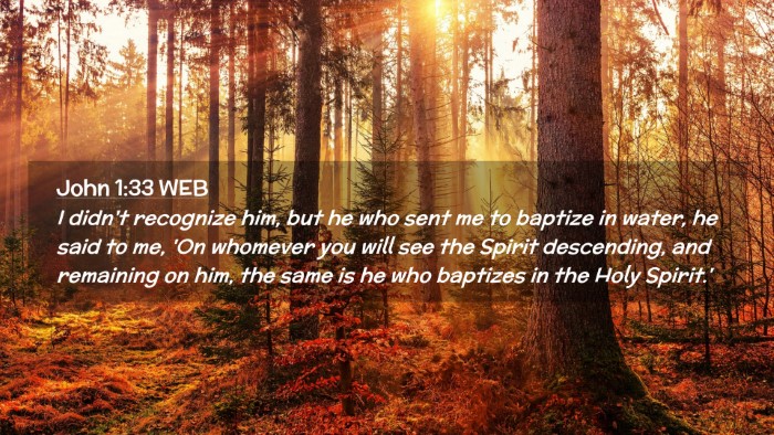Picture 02 - John 1:33 WEB Desktop Wallpaper - I didn't recognize him, but he who sent me to - Desktop Bible Verse Wallpaper