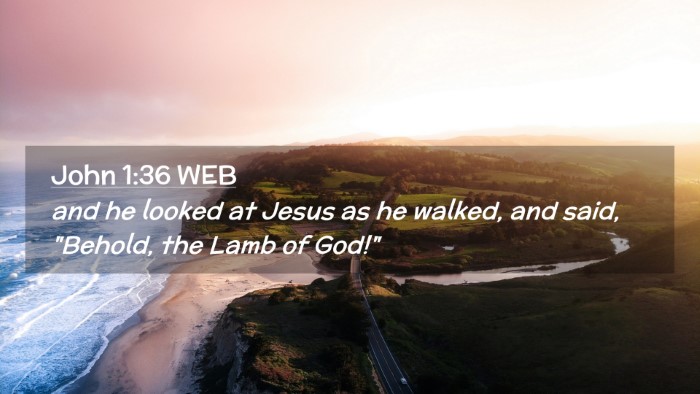 Picture 02 - John 1:36 WEB Desktop Wallpaper - and he looked at Jesus as he walked, and said, - Desktop Bible Verse Wallpaper