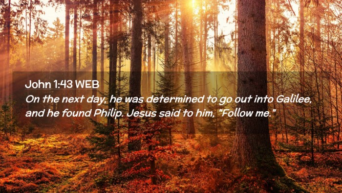 Picture 02 - John 1:43 WEB Desktop Wallpaper - On the next day, he was determined to go out into - Desktop Bible Verse Wallpaper