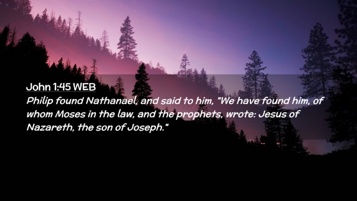 Picture 02 - John 1:45 WEB Desktop Wallpaper - Philip found Nathanael, and said to him, 