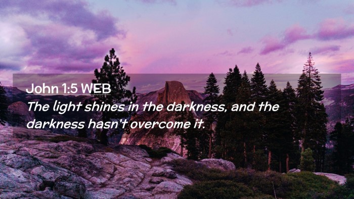 Picture 02 - John 1:5 WEB Desktop Wallpaper - The light shines in the darkness, and the - Desktop Bible Verse Wallpaper