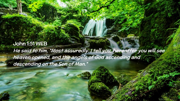 Picture 02 - John 1:51 WEB Desktop Wallpaper - He said to him, 