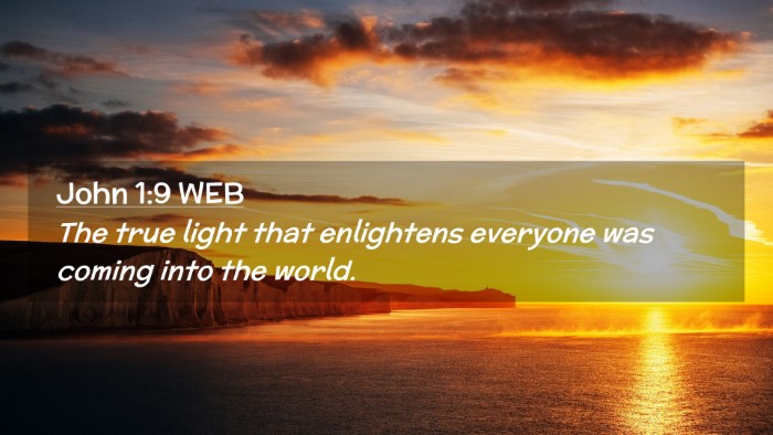 Picture 02 - John 1:9 WEB Desktop Wallpaper - The true light that enlightens everyone was - Desktop Bible Verse Wallpaper