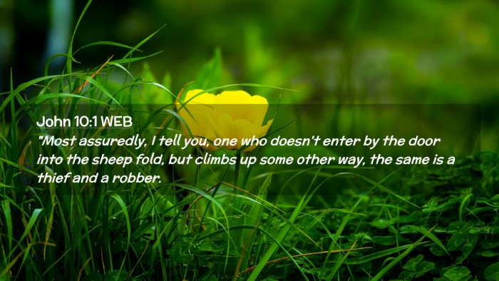 Picture 02 - John 10:1 WEB Desktop Wallpaper - 