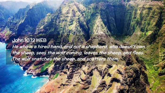 Picture 02 - John 10:12 WEB Desktop Wallpaper - He who is a hired hand, and not a shepherd, who - Desktop Bible Verse Wallpaper