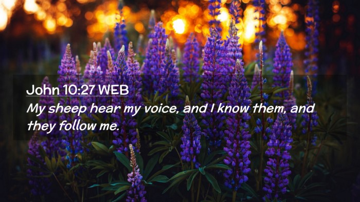 Picture 02 - John 10:27 WEB Desktop Wallpaper - My sheep hear my voice, and I know them, and they - Desktop Bible Verse Wallpaper