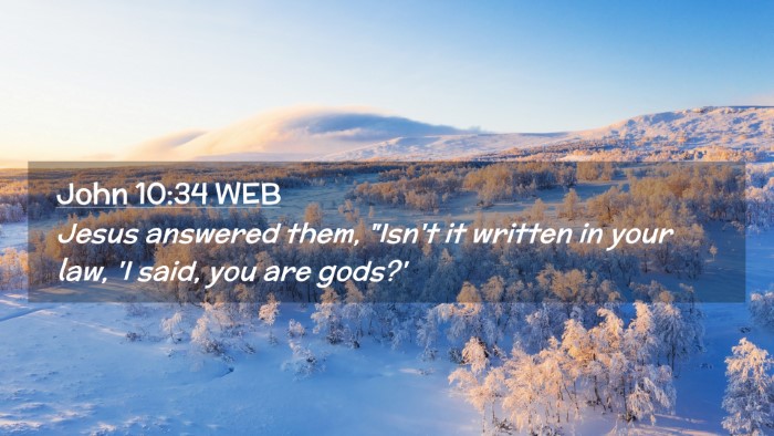 Picture 02 - John 10:34 WEB Desktop Wallpaper - Jesus answered them, 