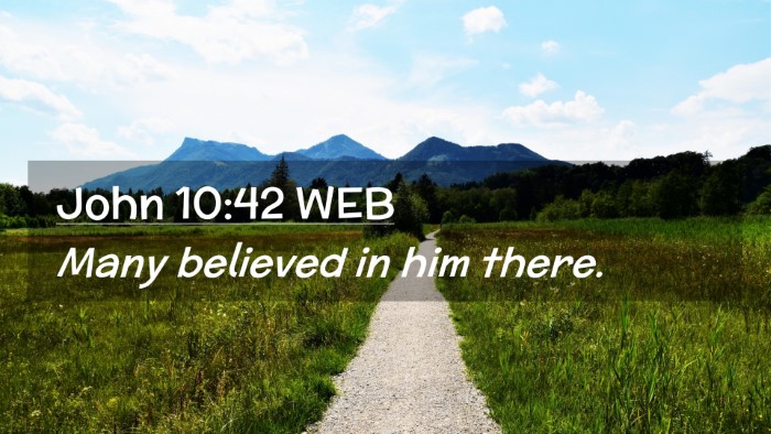 Picture 02 - John 10:42 WEB Desktop Wallpaper - Many believed in him - Desktop Bible Verse Wallpaper